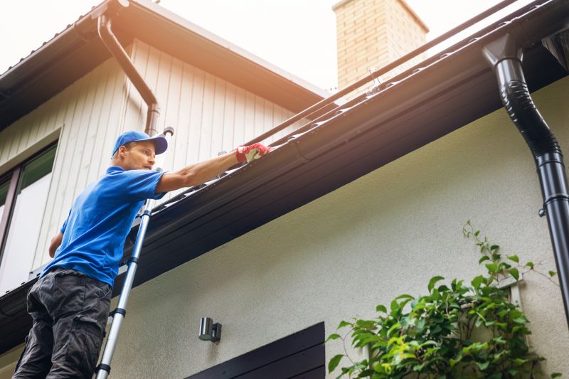 Gutter Cover Inspection Services